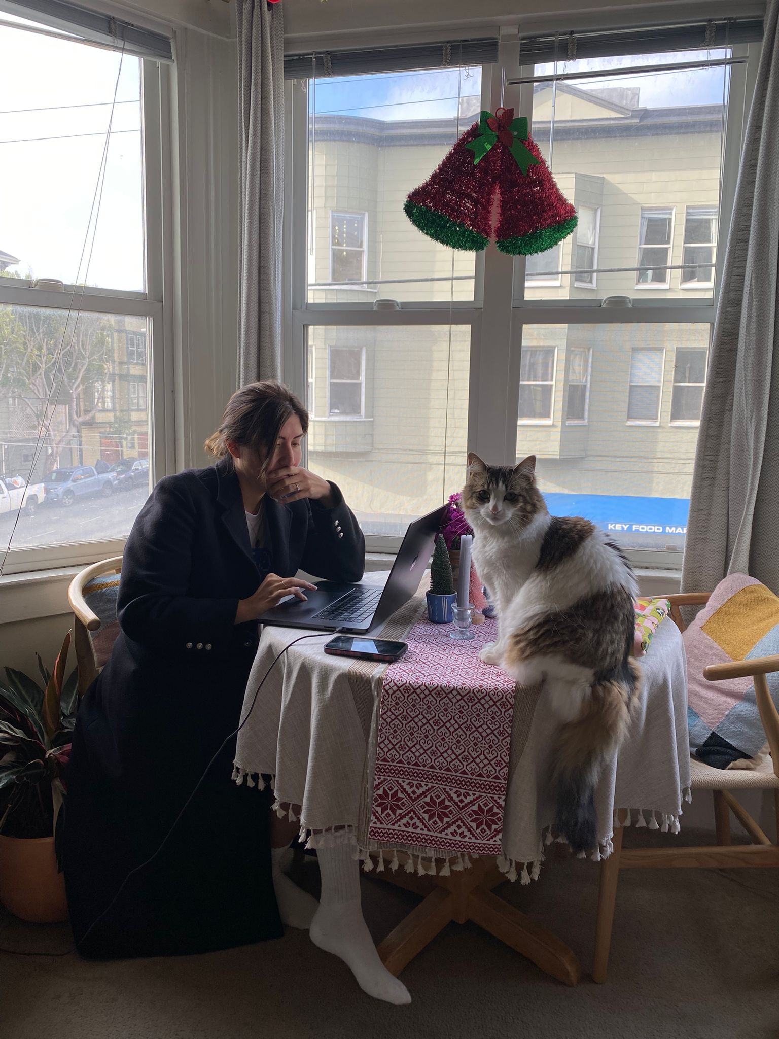 Giselle working at her desk with her cat